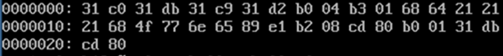 linux_shellcode.png